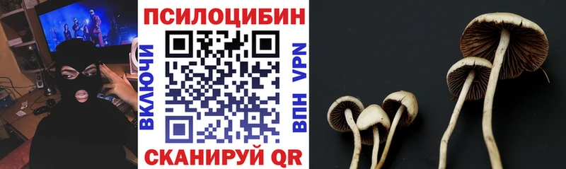Купить закладки  Демидов  Псилоцибиновые грибы мухоморы 